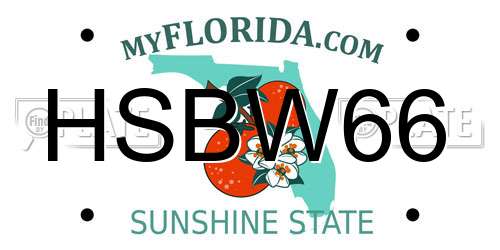 HSBW66 Florida License Plate