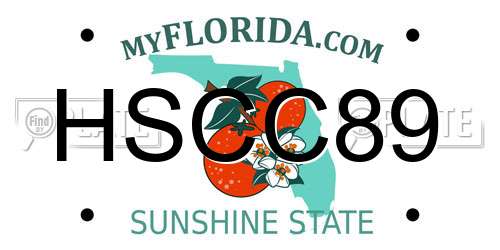 HSCC89 Florida License Plate