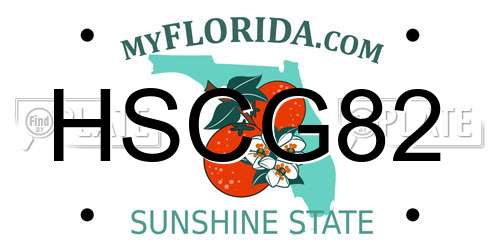 HSCG82 Florida License Plate