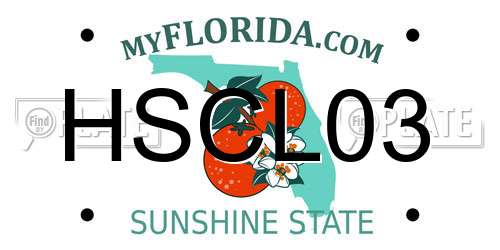 HSCL03 Florida License Plate