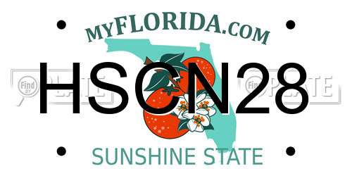 HSCN28 Florida License Plate