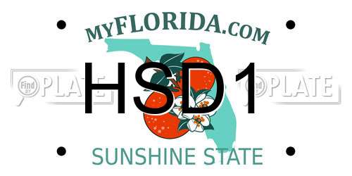 HSD1 Florida License Plate