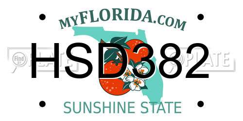 HSD382 Florida License Plate