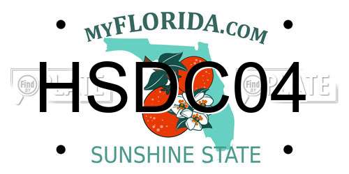HSDC04 Florida License Plate