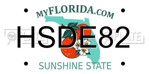 HSDE82 Florida License Plate