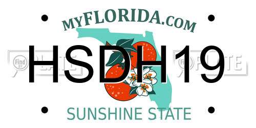HSDH19 Florida License Plate