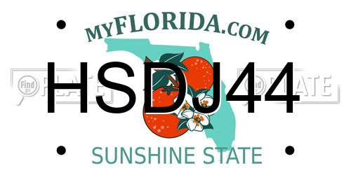 HSDJ44 Florida License Plate