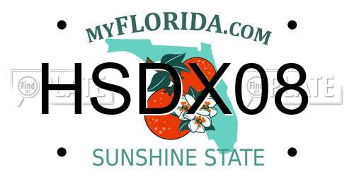HSDX08 Florida License Plate