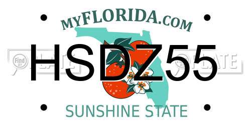 HSDZ55 Florida License Plate