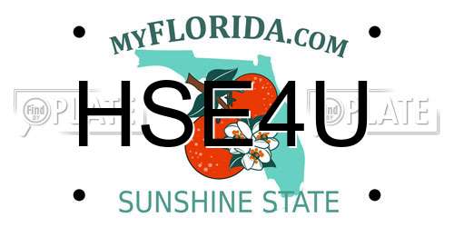 HSE4U Florida License Plate