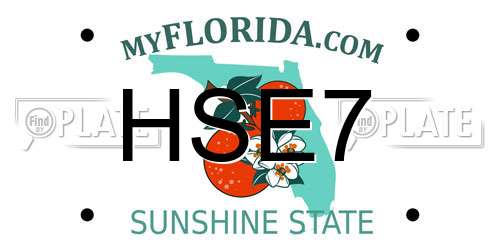 HSE7 Florida License Plate