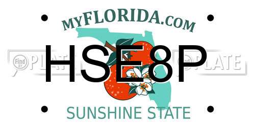 HSE8P Florida License Plate