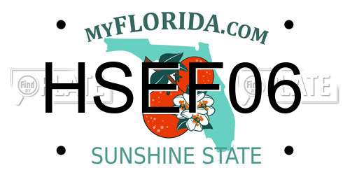 HSEF06 Florida License Plate