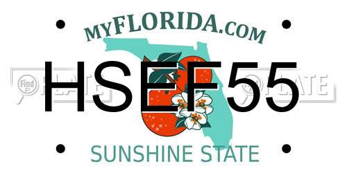 HSEF55 Florida License Plate
