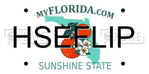 HSEFLIP Florida License Plate