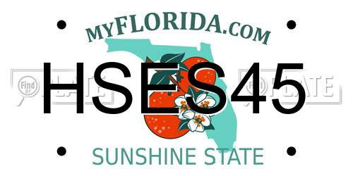 HSES45 Florida License Plate
