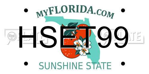HSET99 Florida License Plate