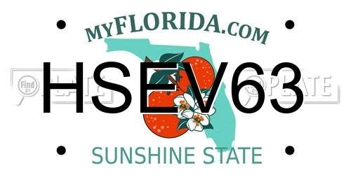 HSEV63 Florida License Plate