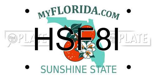 HSF8I Florida License Plate