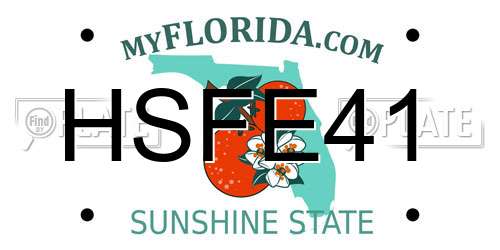 HSFE41 Florida License Plate