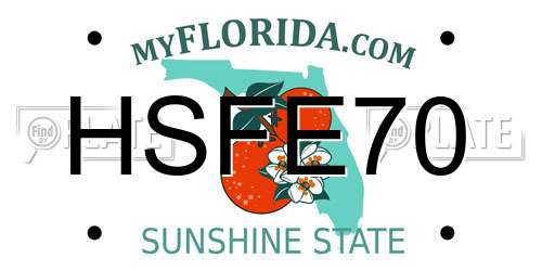 HSFE70 Florida License Plate