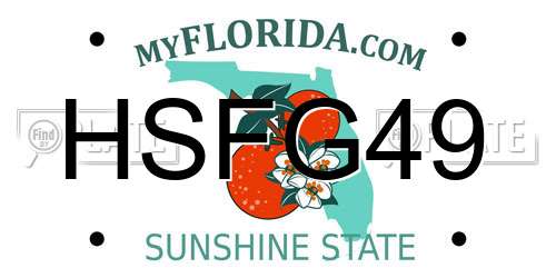 HSFG49 Florida License Plate
