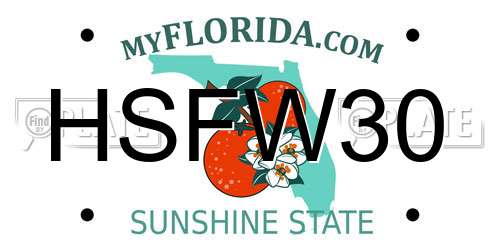 HSFW30 Florida License Plate