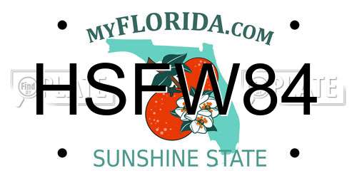 HSFW84 Florida License Plate