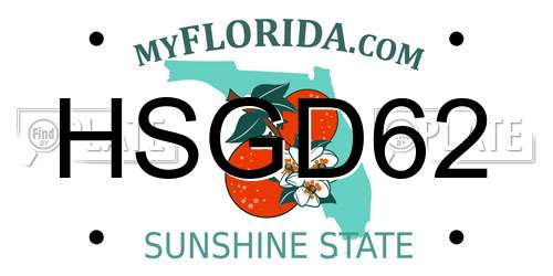 HSGD62 Florida License Plate