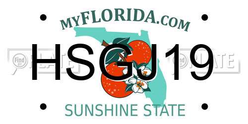 HSGJ19 Florida License Plate