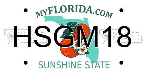 HSGM18 Florida License Plate
