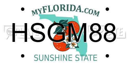 HSGM88 Florida License Plate