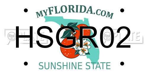 HSGR02 Florida License Plate
