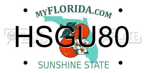 HSGU80 Florida License Plate