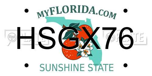 HSGX76 Florida License Plate
