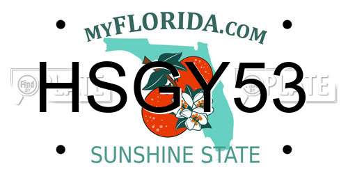 HSGY53 Florida License Plate