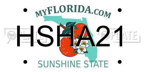 HSHA21 Florida License Plate