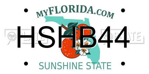 HSHB44 Florida License Plate