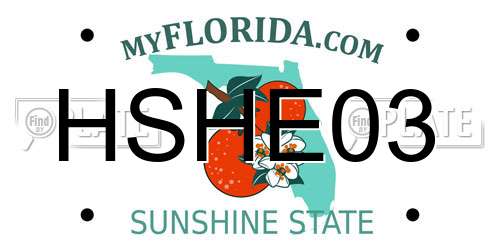 HSHE03 Florida License Plate