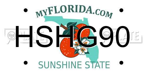 HSHG90 Florida License Plate
