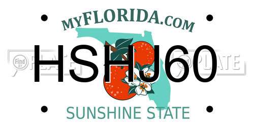 HSHJ60 Florida License Plate