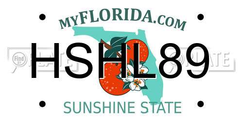 HSHL89 Florida License Plate