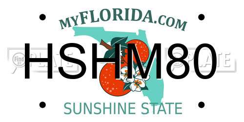 HSHM80 Florida License Plate