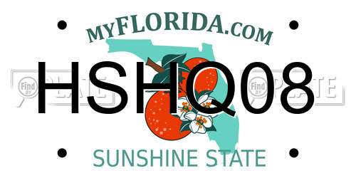 HSHQ08 Florida License Plate