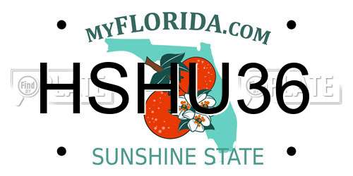 HSHU36 Florida License Plate