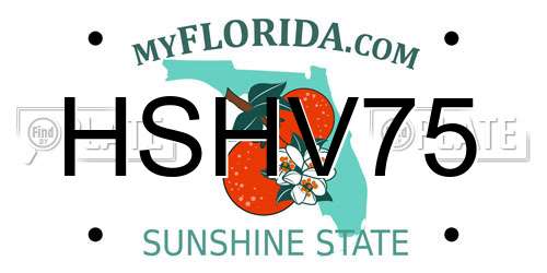 HSHV75 Florida License Plate