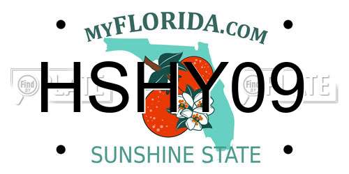 HSHY09 Florida License Plate