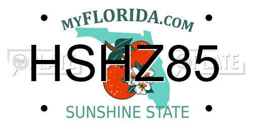 HSHZ85 Florida License Plate