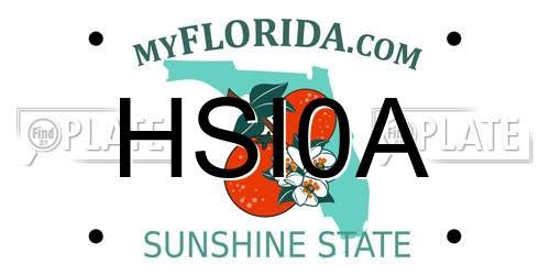 HSI0A Florida License Plate