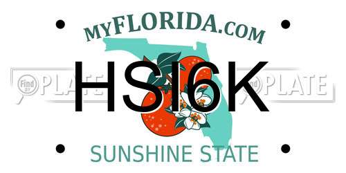 HSI6K Florida License Plate